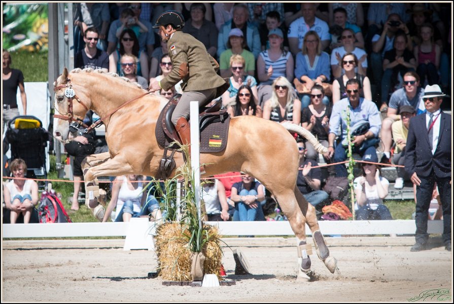 Pferd International 136
